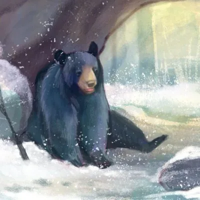 A black bear stirring at the mouth of its den
