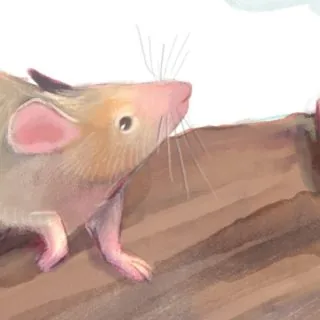 A small mouse on a log