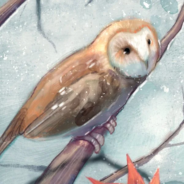 A barn owl perched on a snowy branch